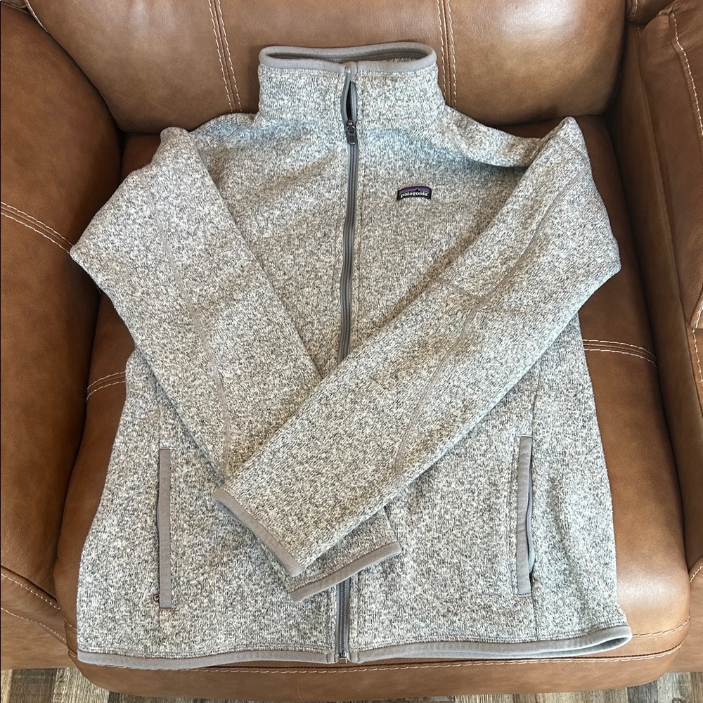 Patagonia Light Heather Gray Full-Zip Fleece Jacket